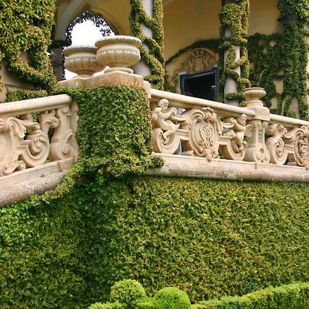 Charming Glicine And Azalea House Art And Colour With Lakeview Cadenabbia Esterno foto
