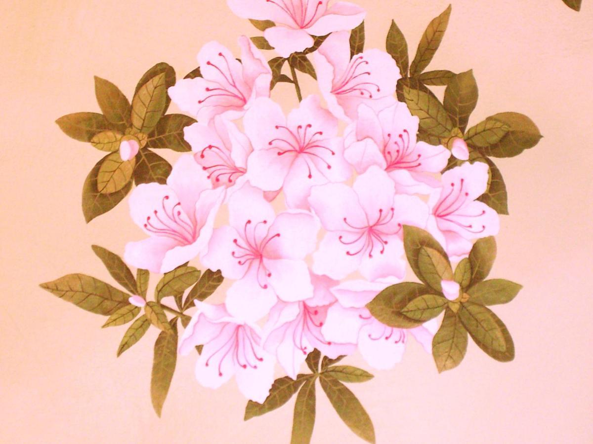 Charming Glicine And Azalea House Art And Colour With Lakeview Cadenabbia Esterno foto