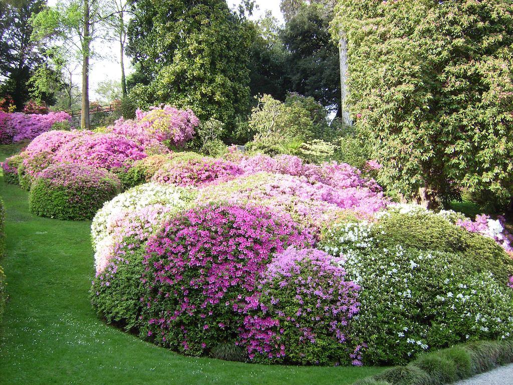 Charming Glicine And Azalea House Art And Colour With Lakeview Cadenabbia Camera foto