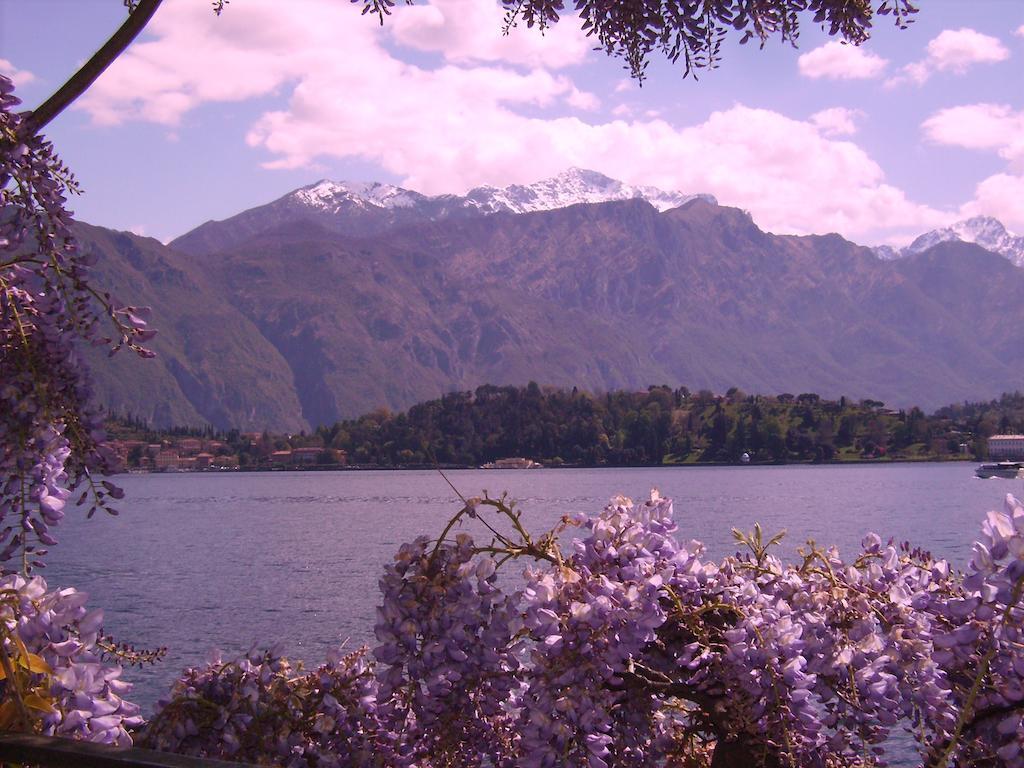 Charming Glicine And Azalea House Art And Colour With Lakeview Cadenabbia Camera foto
