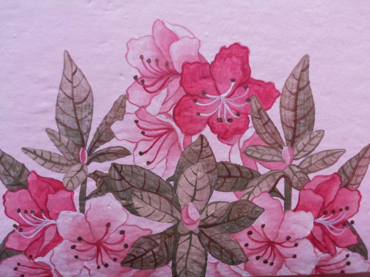 Charming Glicine And Azalea House Art And Colour With Lakeview Cadenabbia Esterno foto